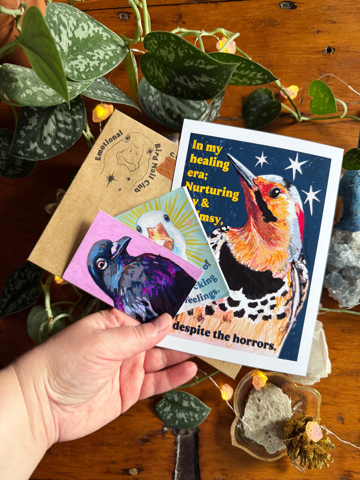 Emotional Birds Mail Club