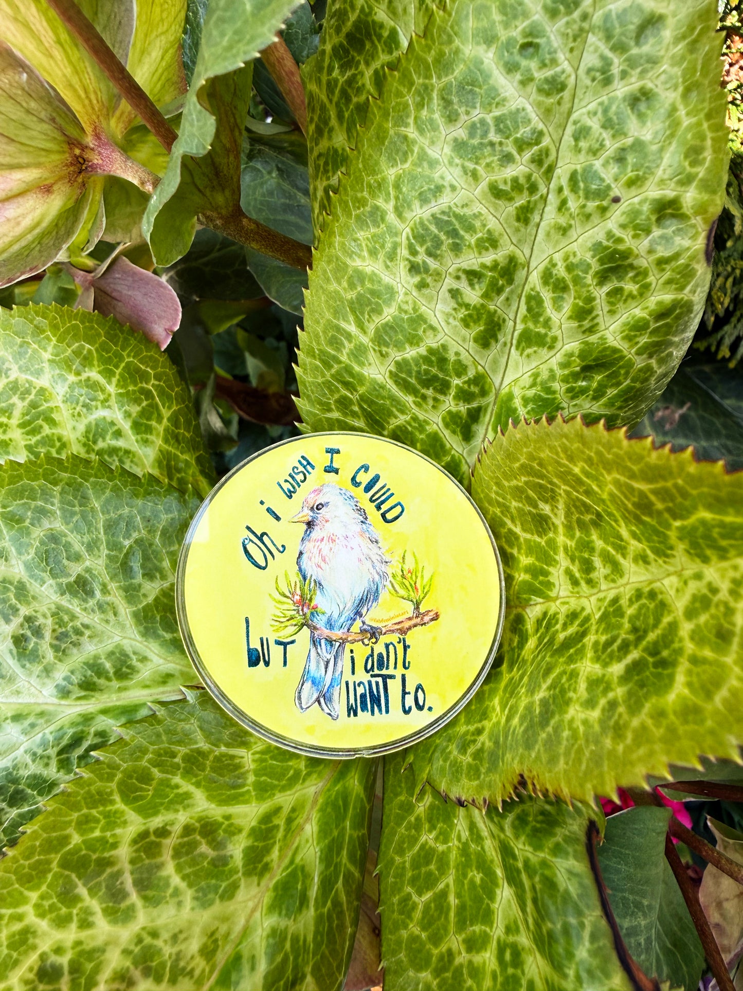 Oh I Wish I Could But I Don't Want To: Lapel Pin