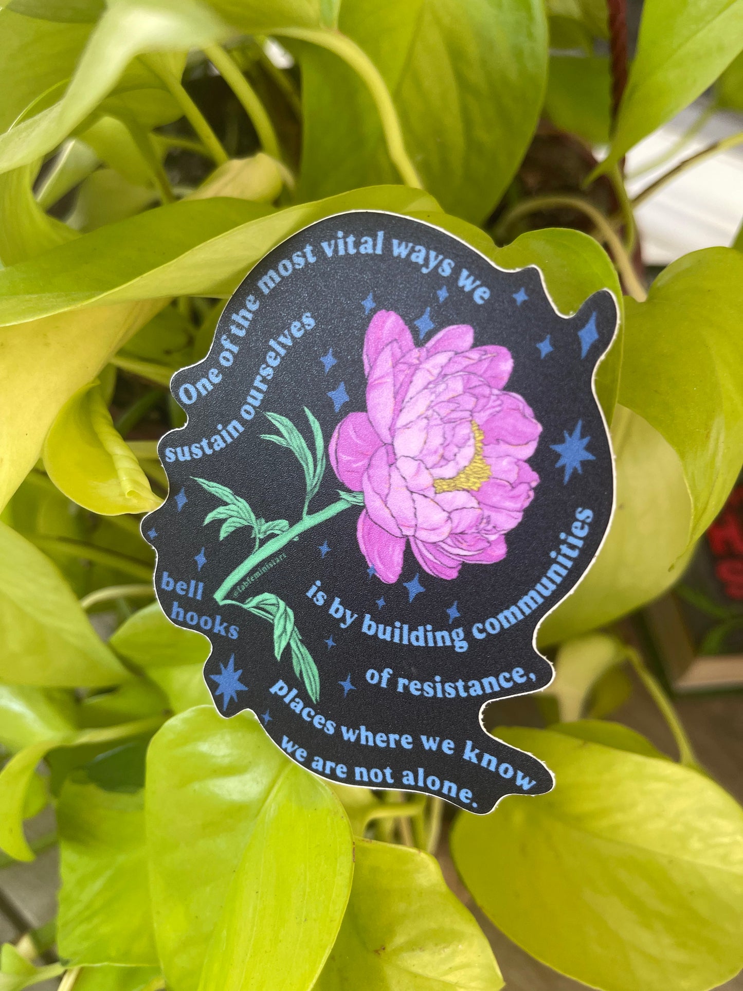 One of the most vital ways we sustain ourselves is by building communities of resistance, bell hooks: feminist sticker