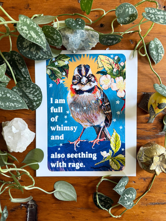 I am full of whimsy and also seething with rage: feminist art print