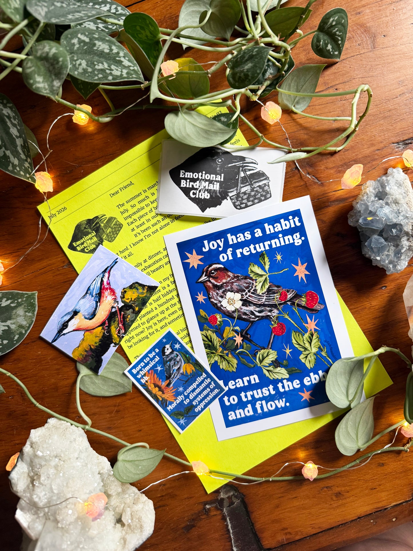 Emotional Birds Mail Club