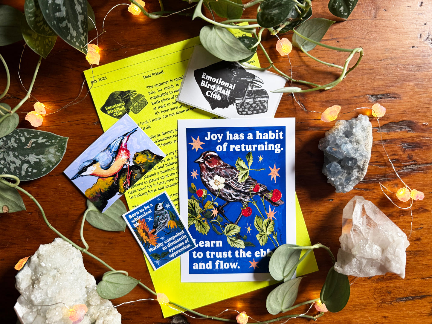 Emotional Birds Mail Club