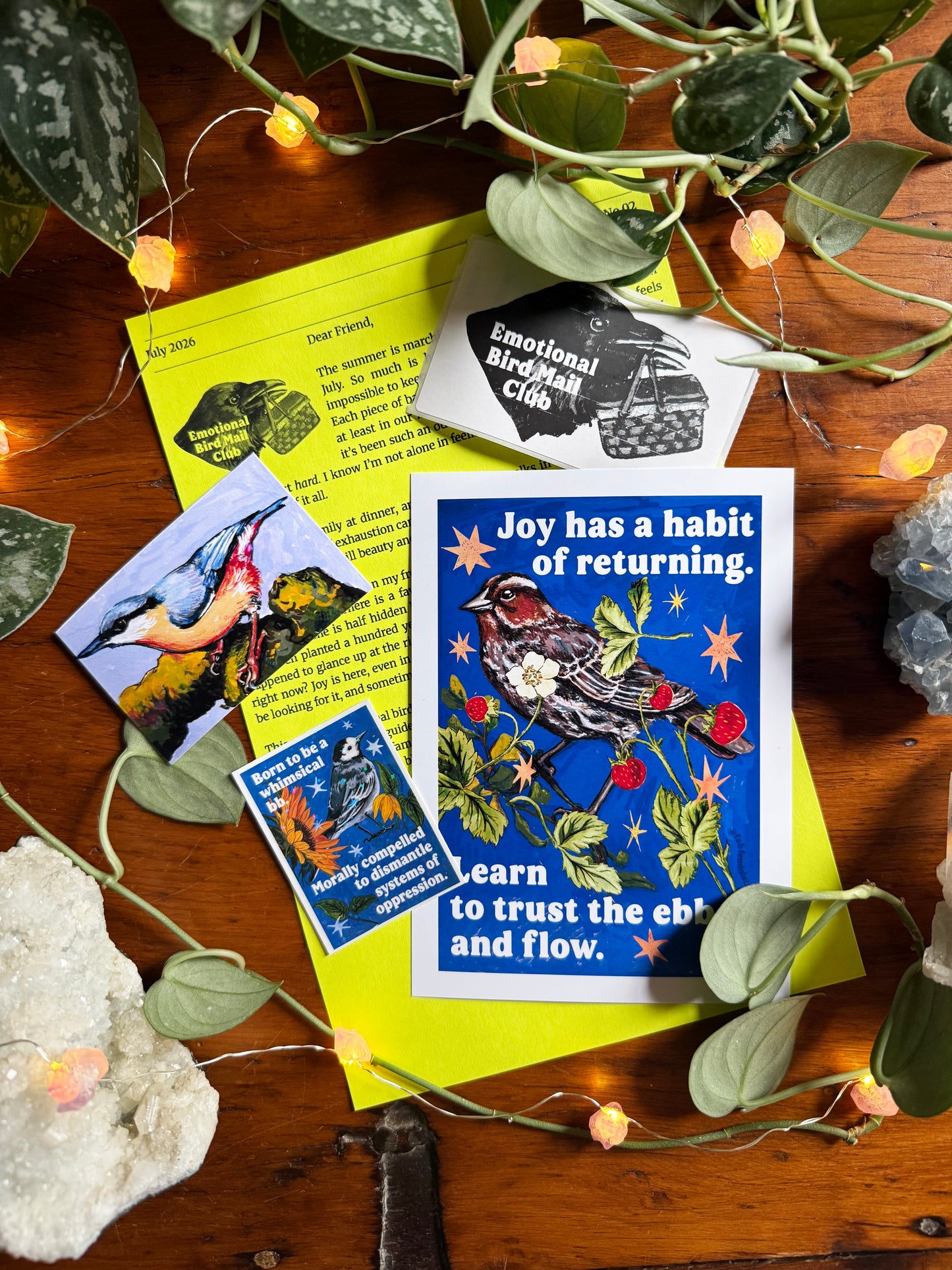 Emotional Birds Mail Club
