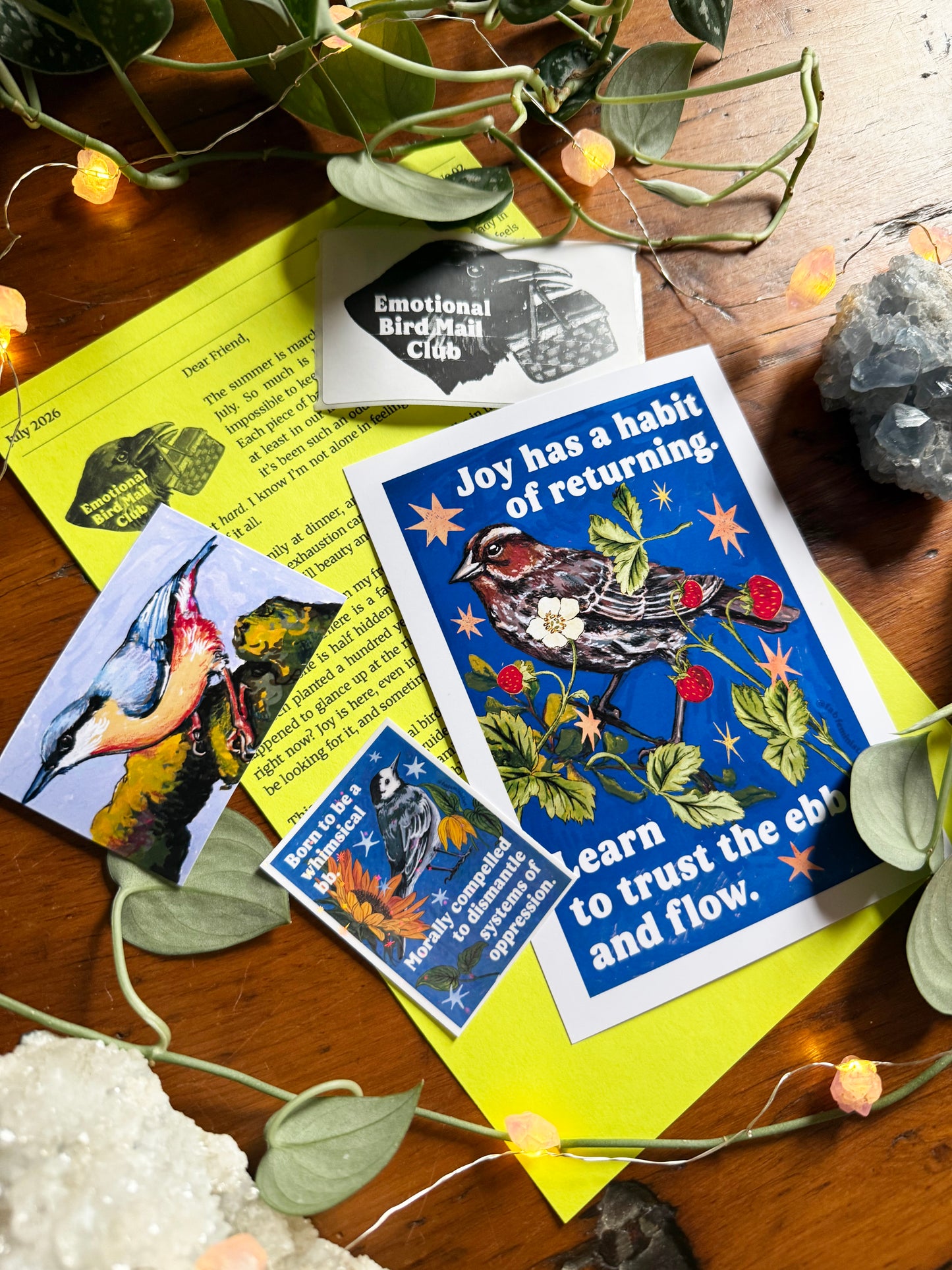 Emotional Birds Mail Club