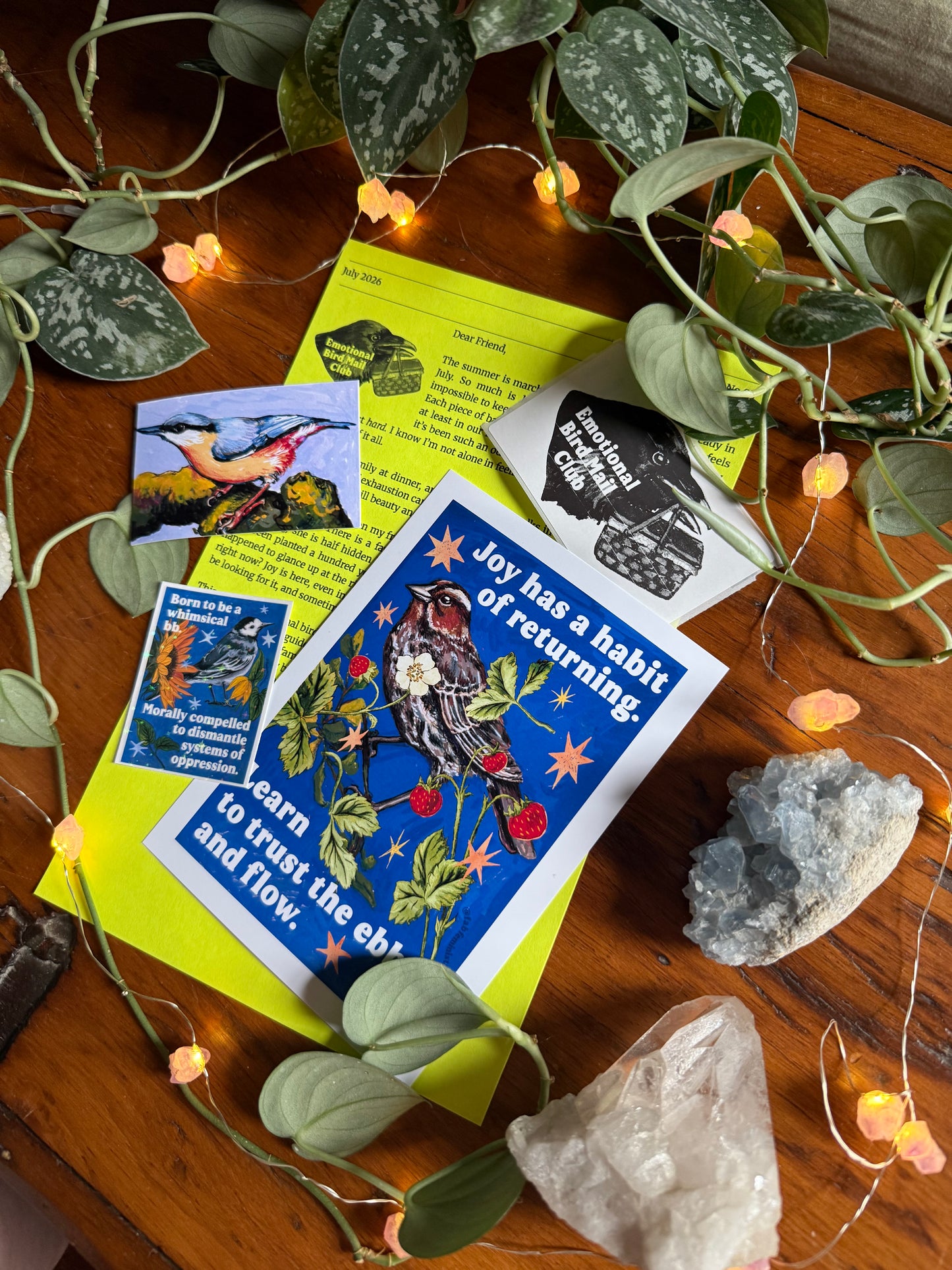 Emotional Birds Mail Club