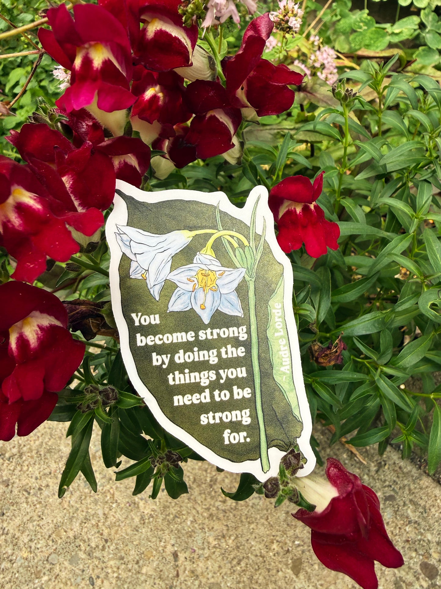 You become strong by doing the things you need to be strong for, Audre Lorde: feminist sticker