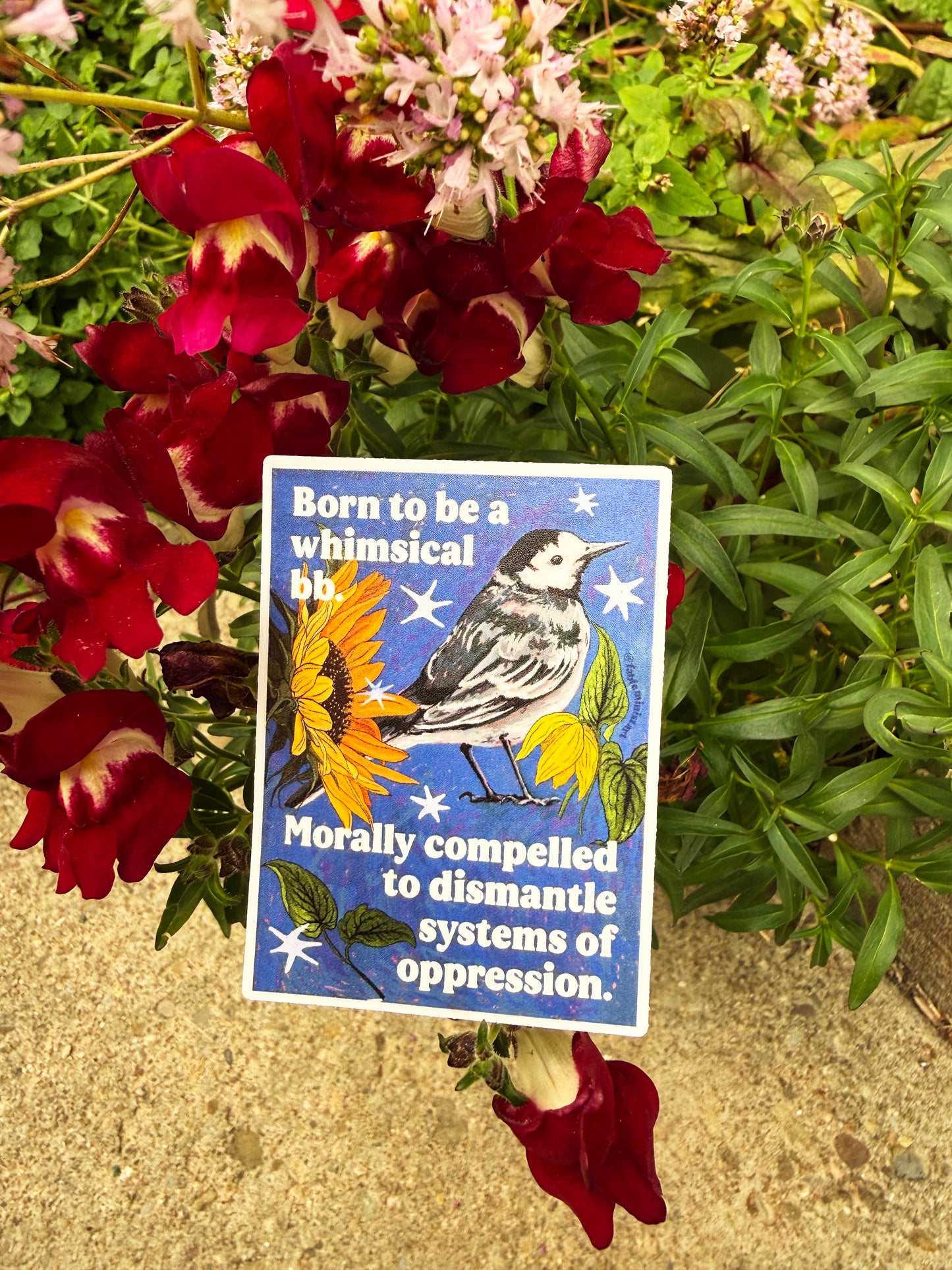 Born to be a whimsical bb. Morally compelled to dismantle systems of oppression: feminist sticker