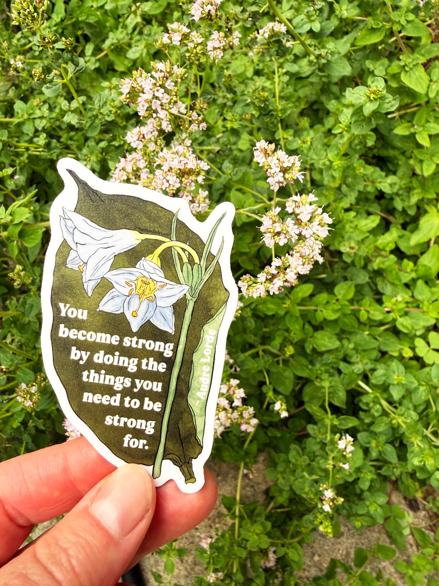 You become strong by doing the things you need to be strong for, Audre Lorde: feminist sticker
