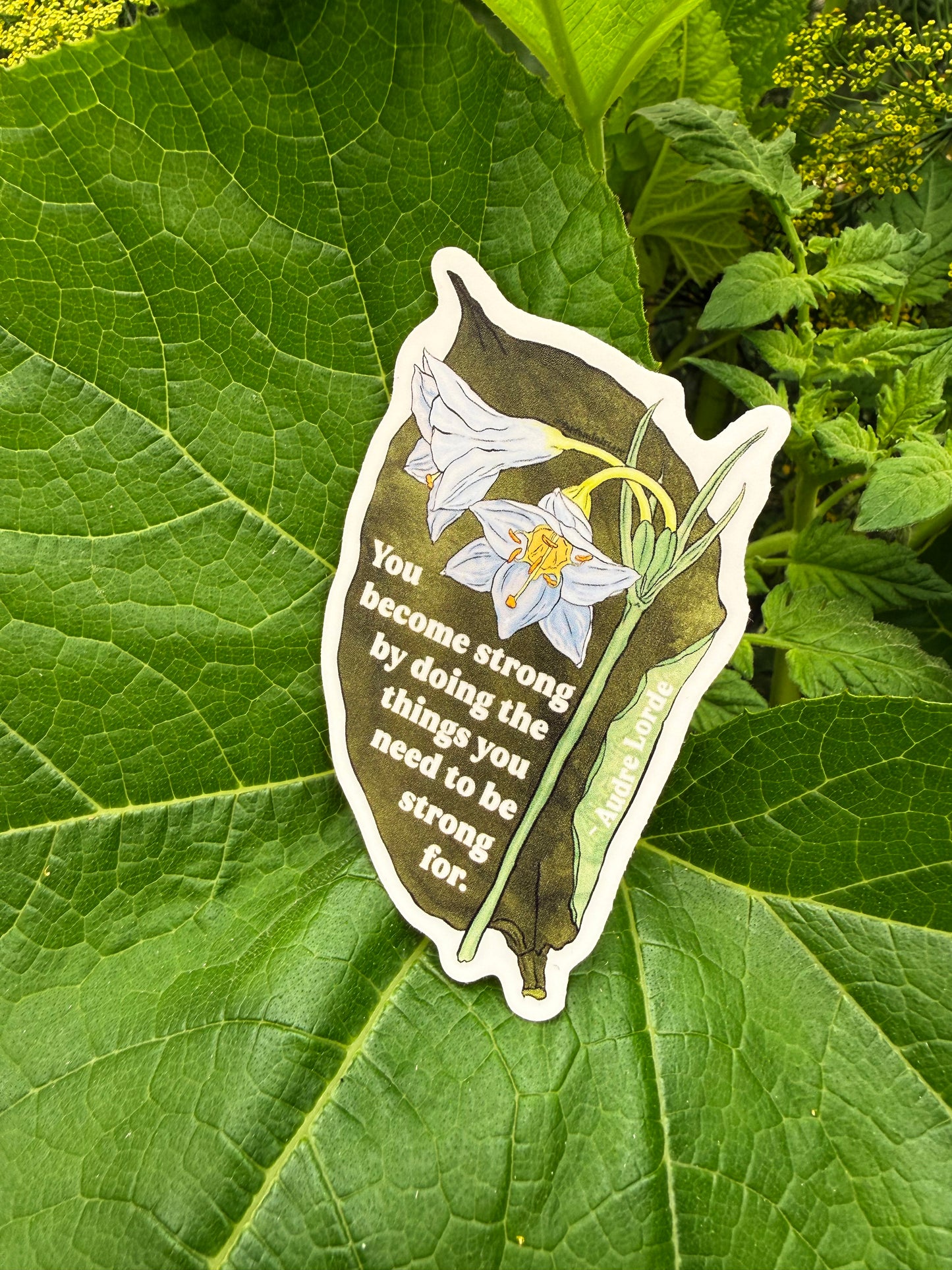 You become strong by doing the things you need to be strong for, Audre Lorde: feminist sticker