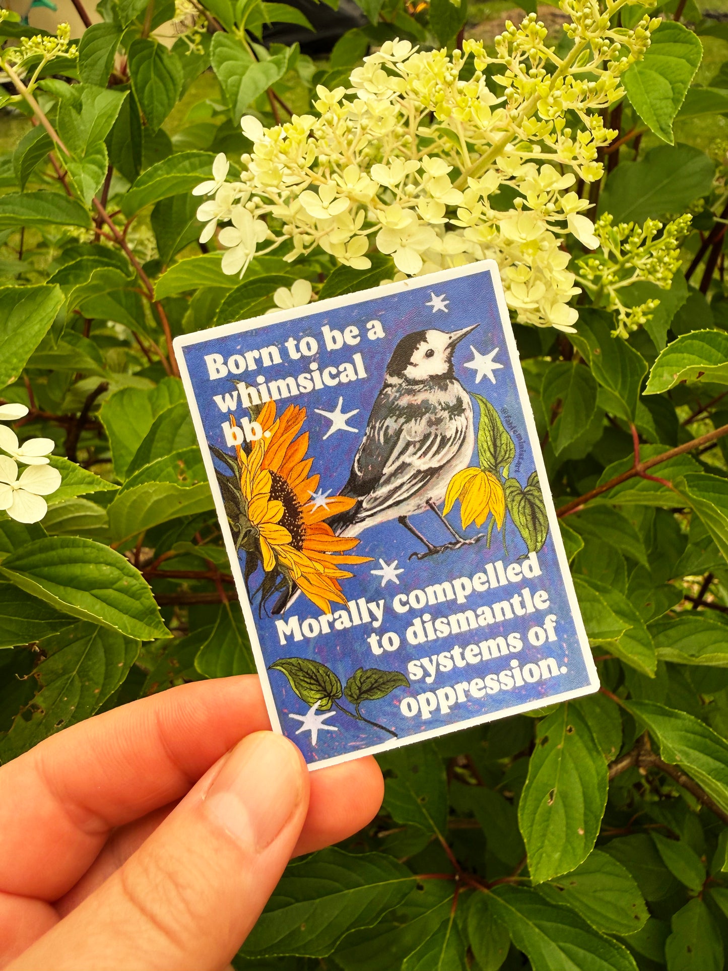 Born to be a whimsical bb. Morally compelled to dismantle systems of oppression: feminist sticker