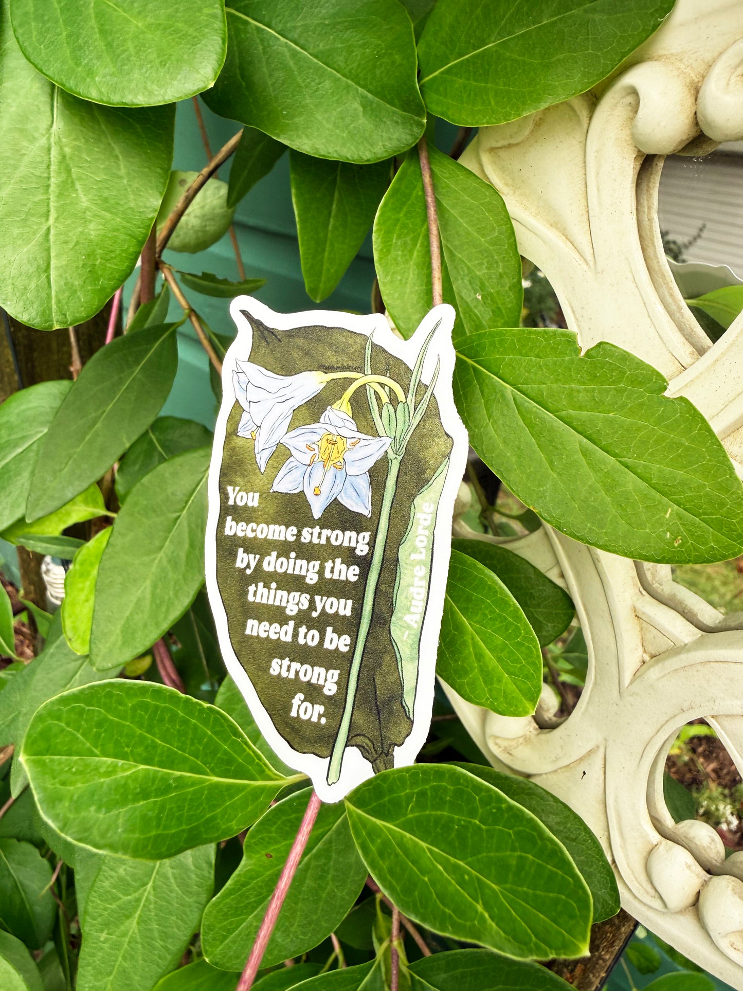 You become strong by doing the things you need to be strong for, Audre Lorde: feminist sticker