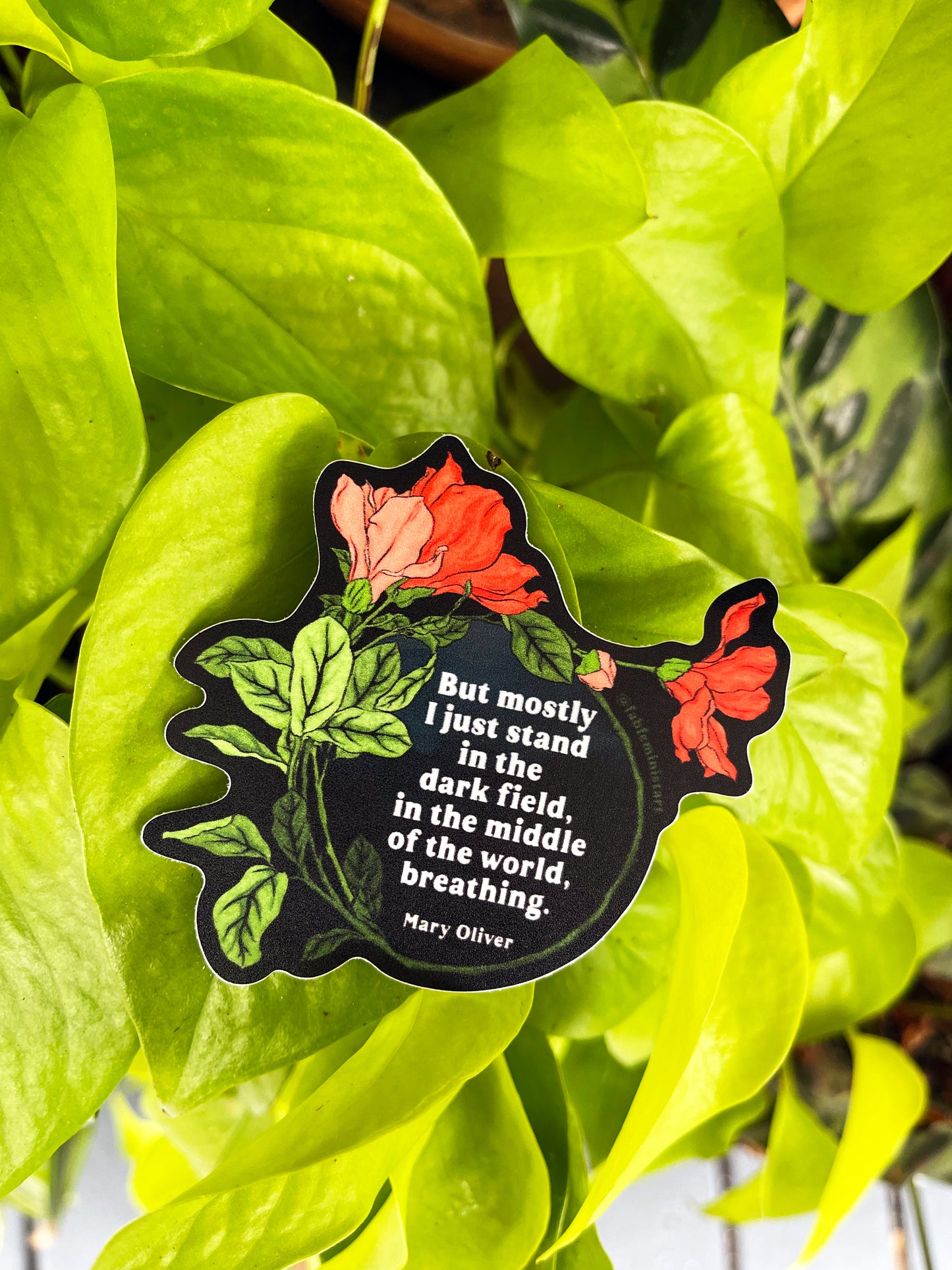 But mostly I just stand in the dark field, in the middle of the world, breathing, Mary Oliver: Feminist Sticker