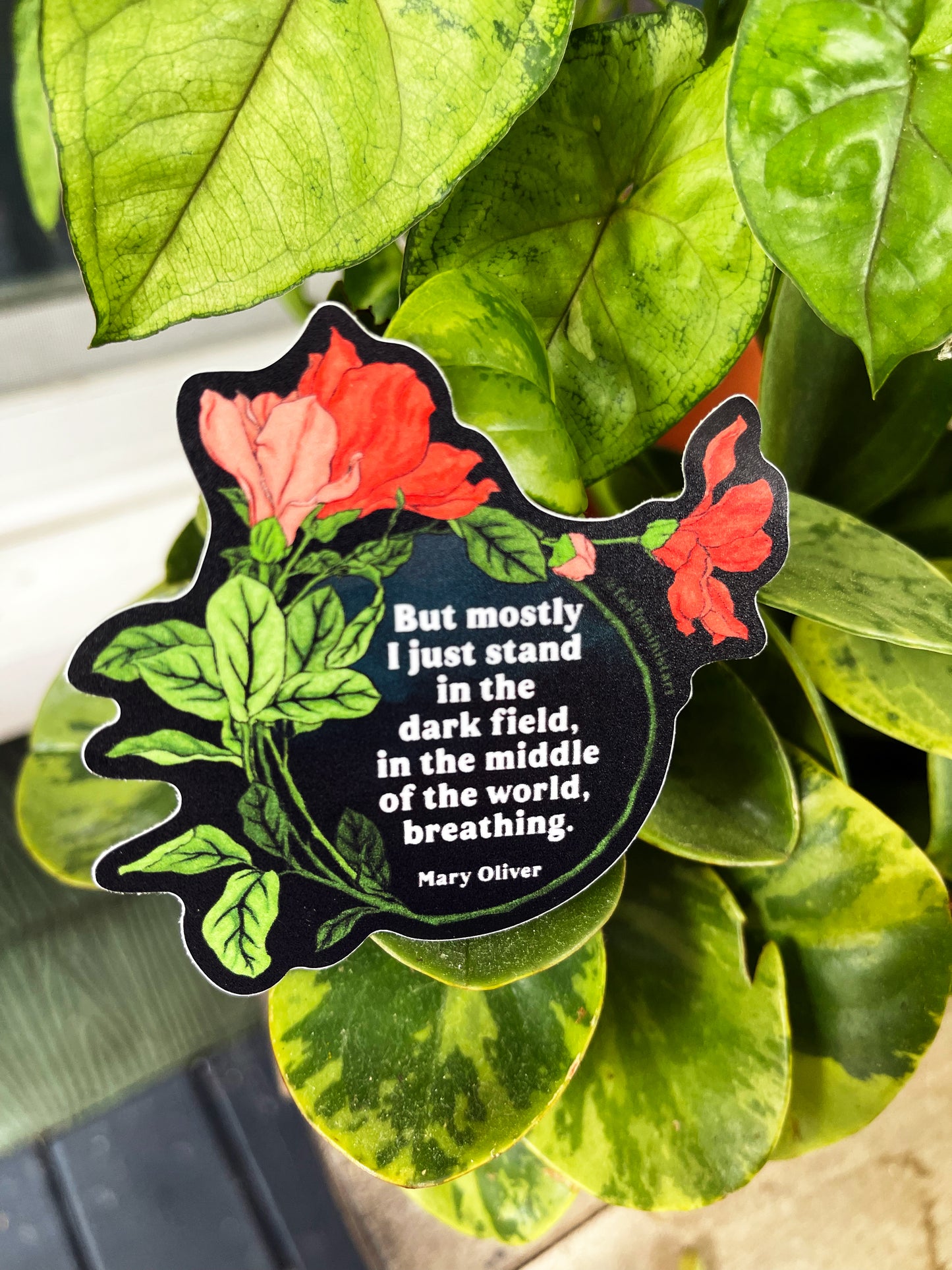 But mostly I just stand in the dark field, in the middle of the world, breathing, Mary Oliver: Feminist Sticker