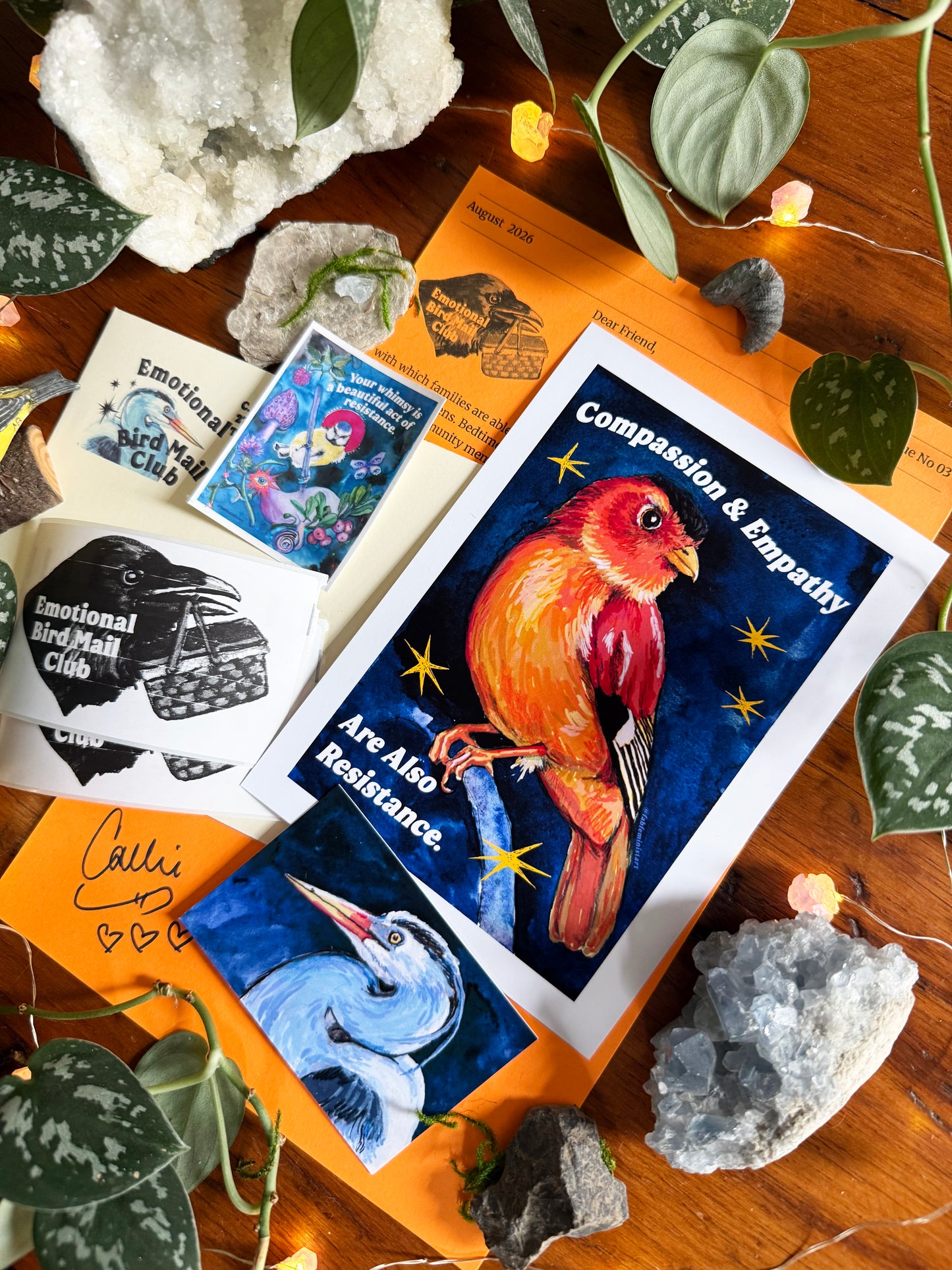 Emotional Birds Mail Club