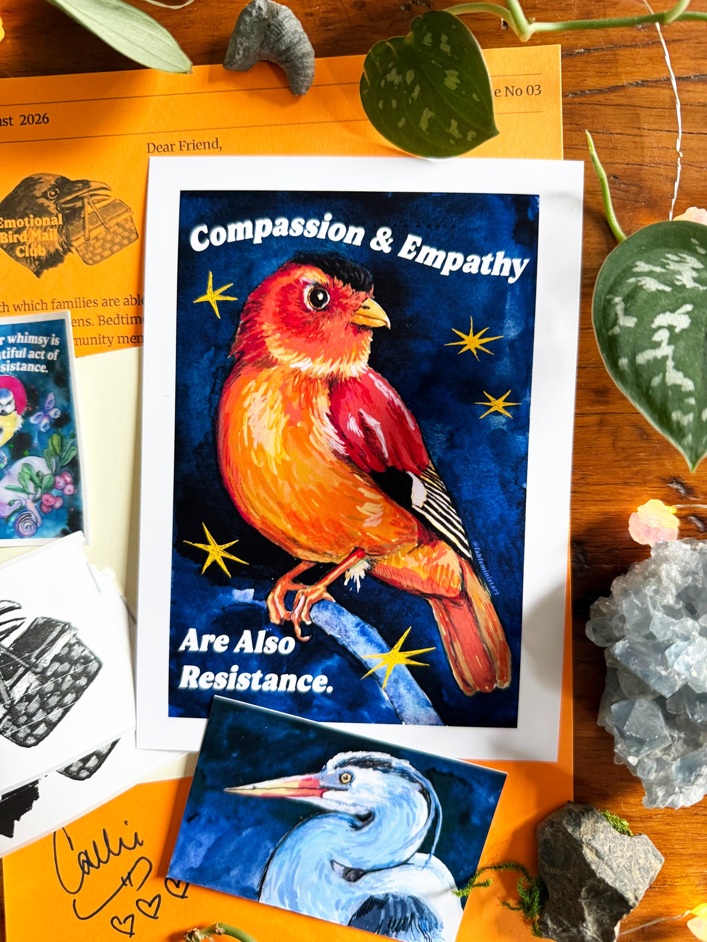 Emotional Birds Mail Club