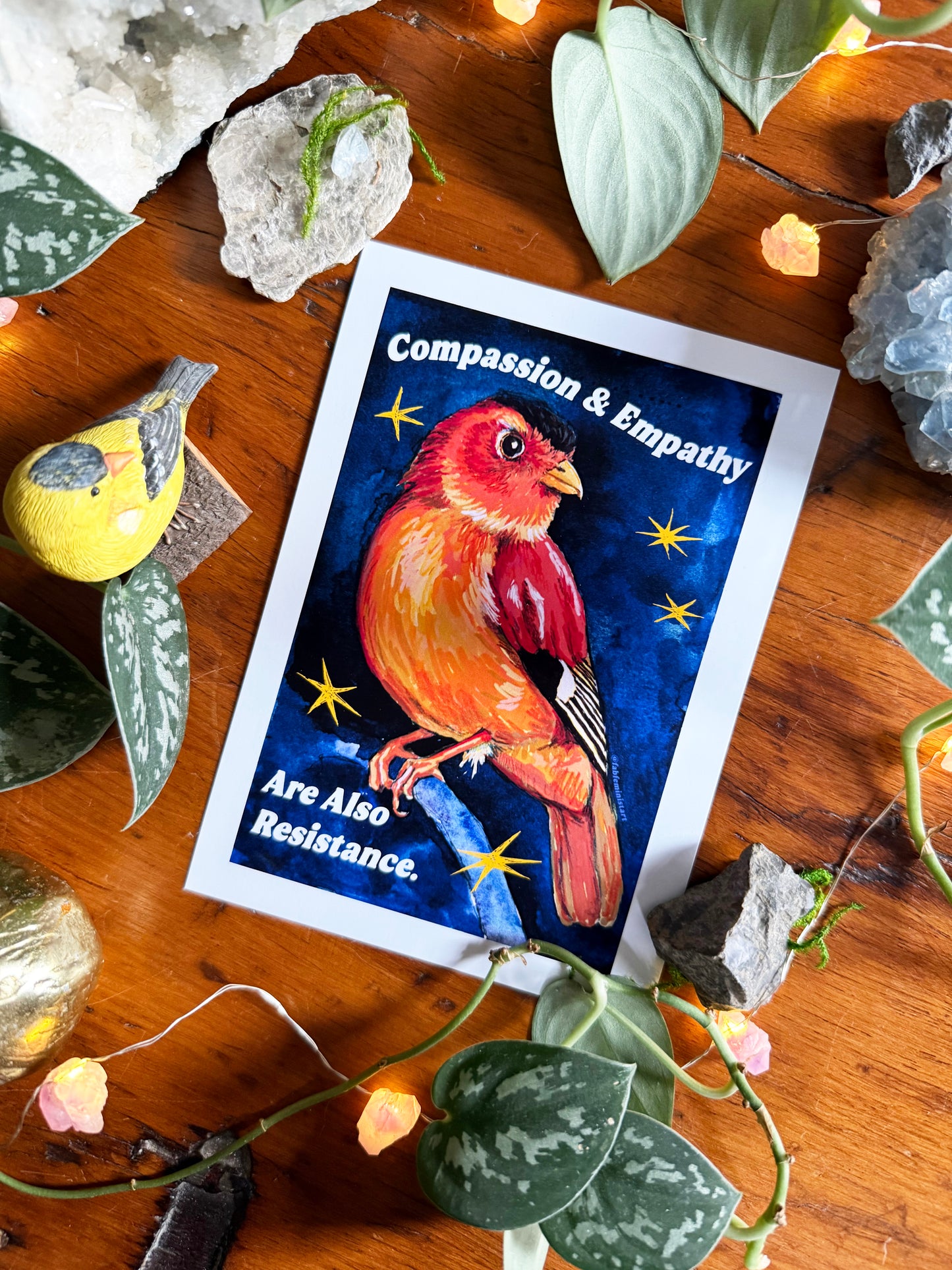 Emotional Birds Mail Club