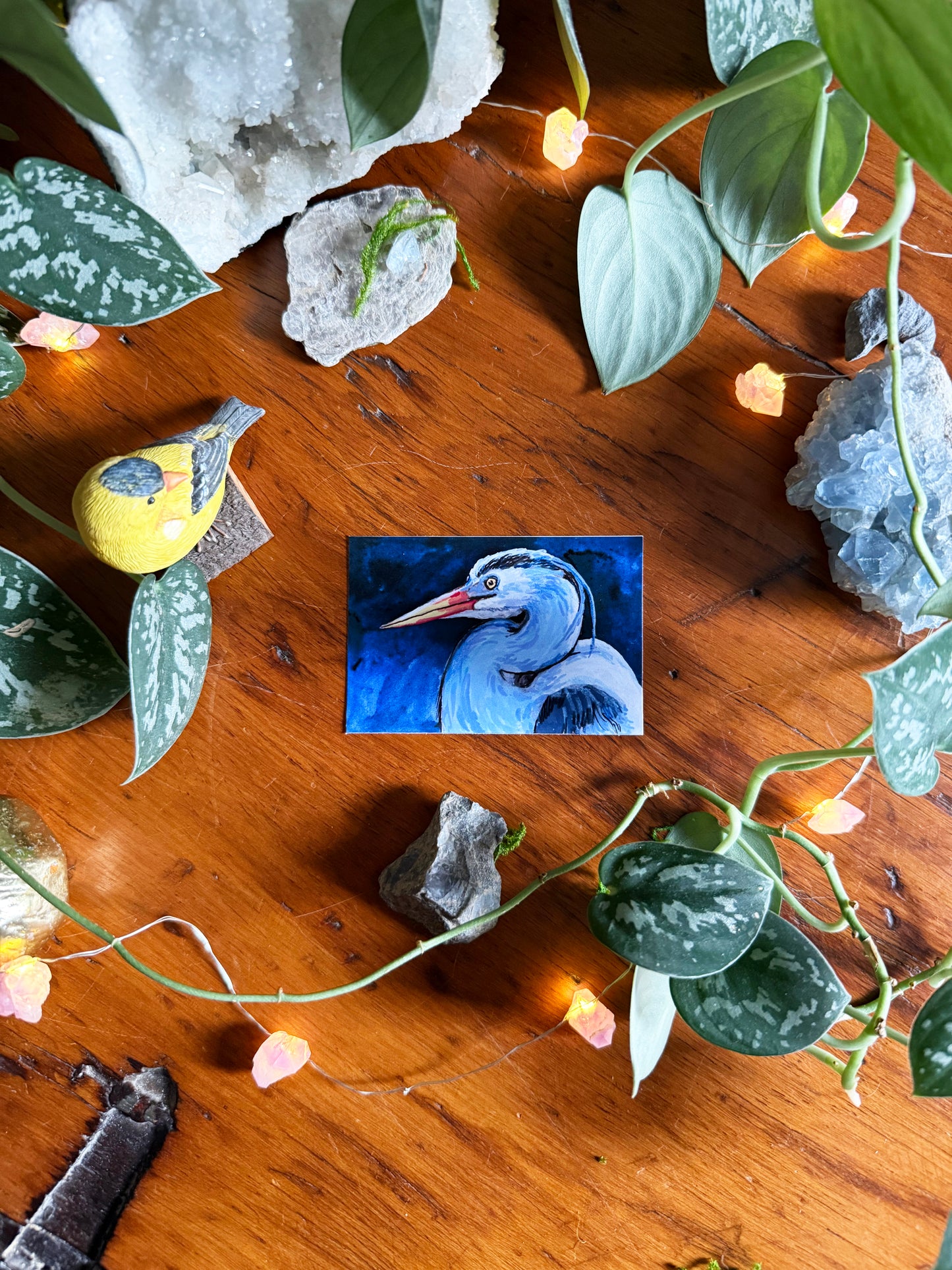 Emotional Birds Mail Club