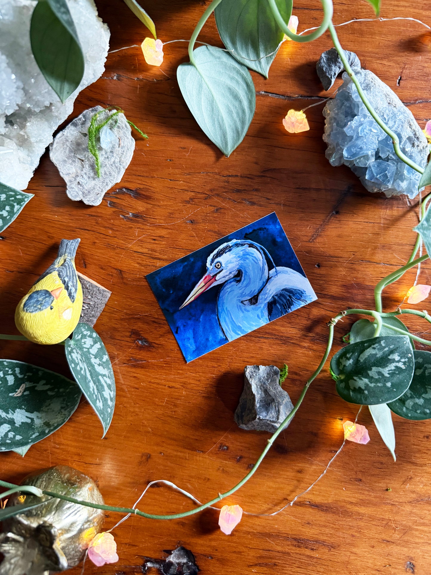 Emotional Birds Mail Club