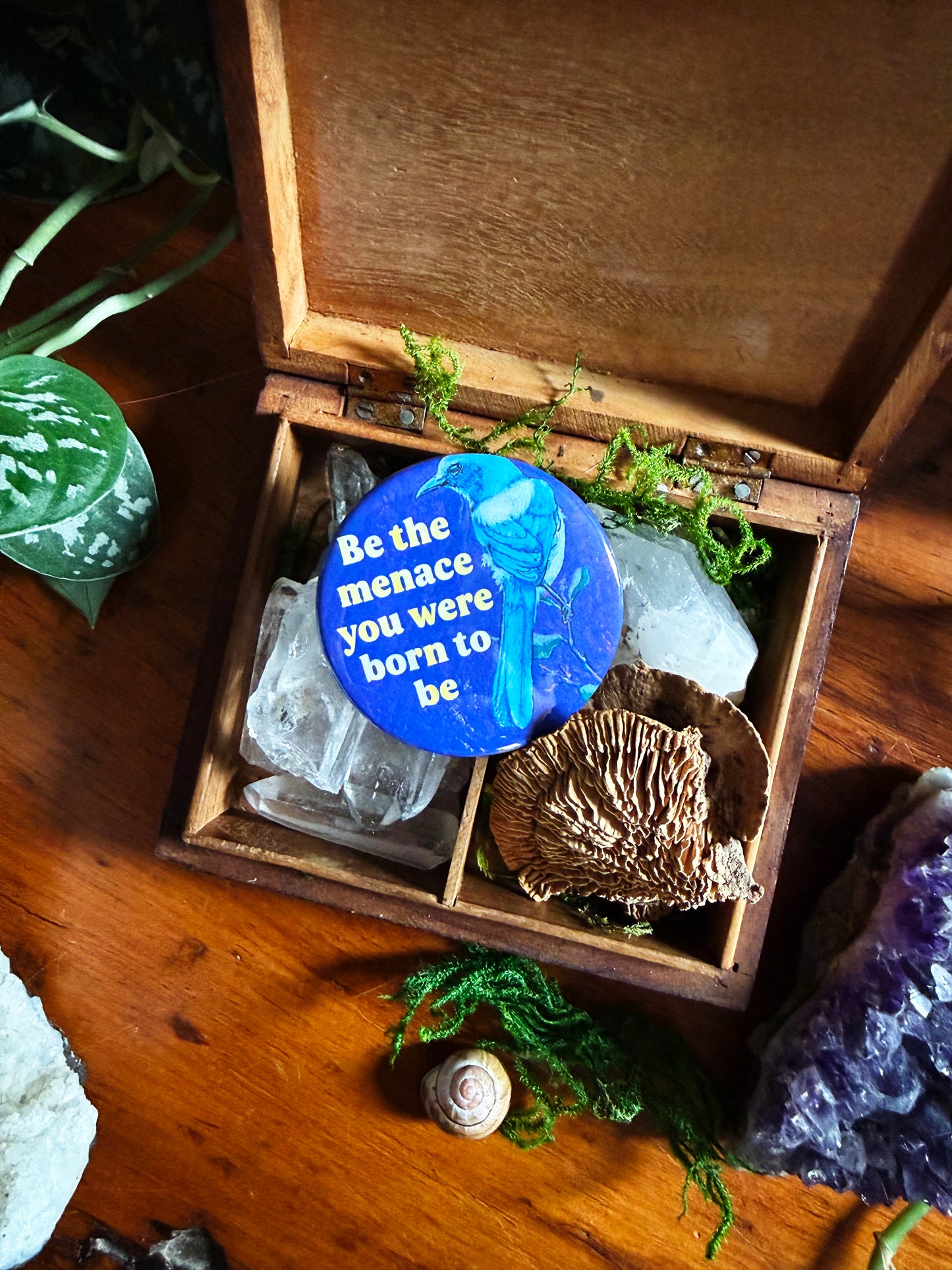 be the menace you were born to be: Feminist Pinback Button