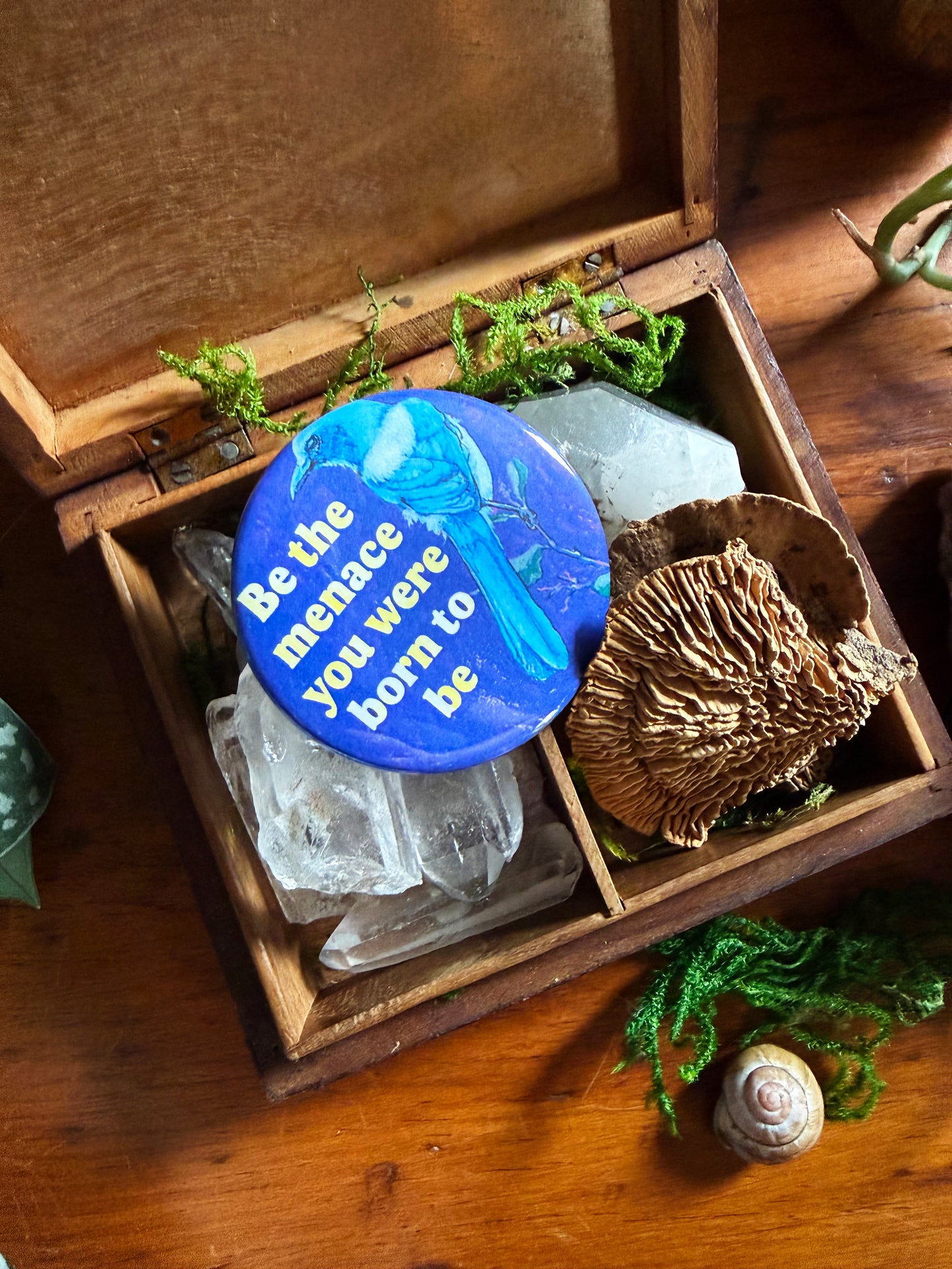 be the menace you were born to be: Feminist Pinback Button