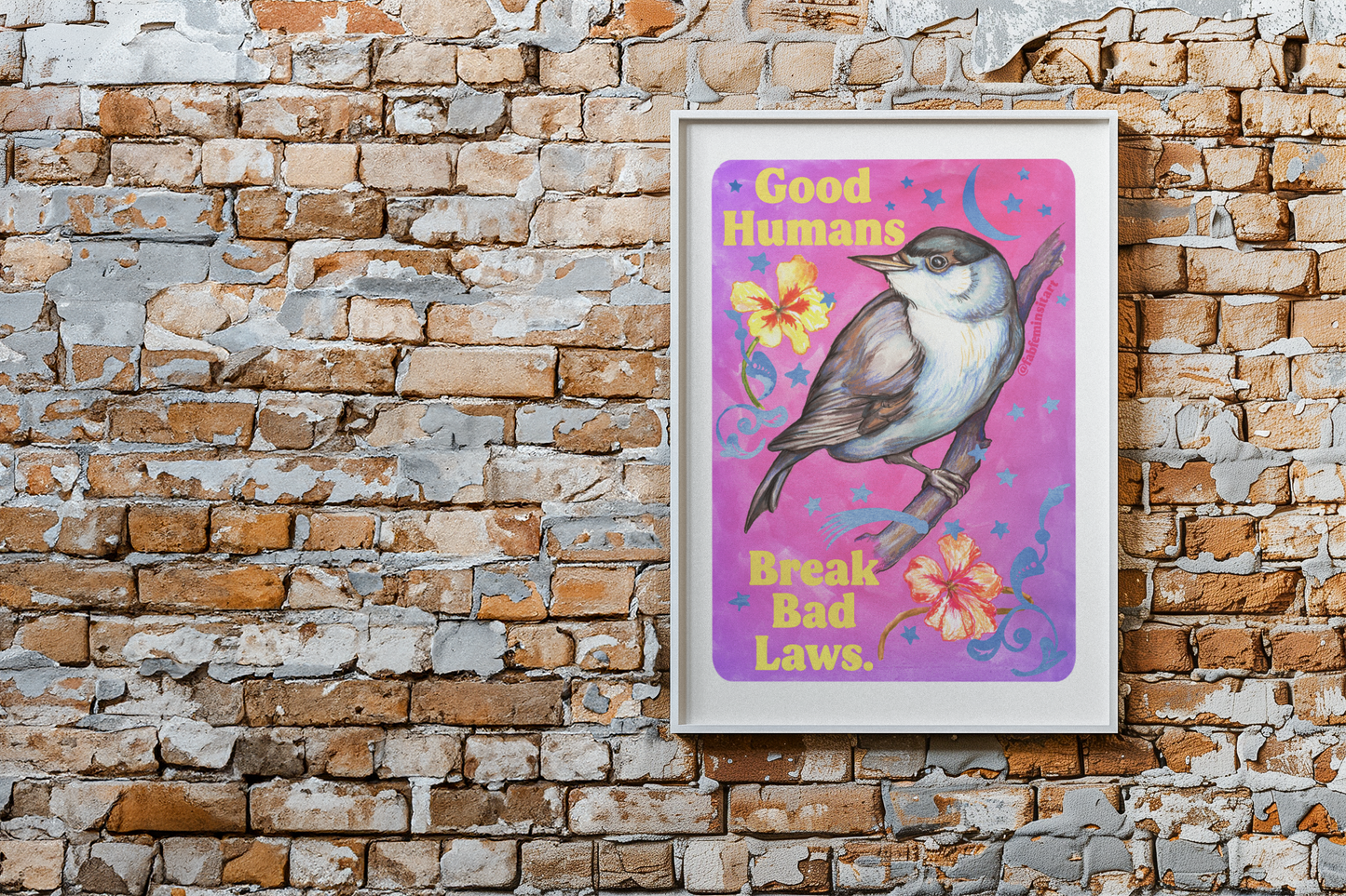 Good Humans Break Bad Laws: Feminist Art Print