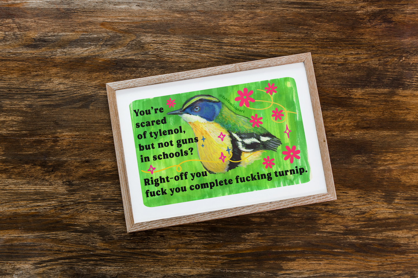 You're scared of tylenol, but not guns in schools? Right-off you fuck you complete fucking turnip: feminist art print