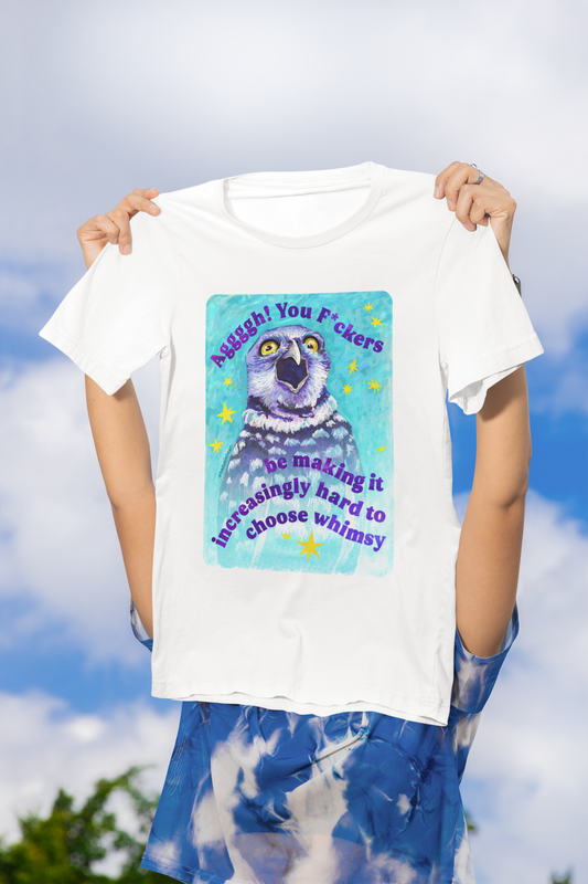 Agggh! You F*ckers…be making it increasingly hard to choose whimsy: Feminist Shirt