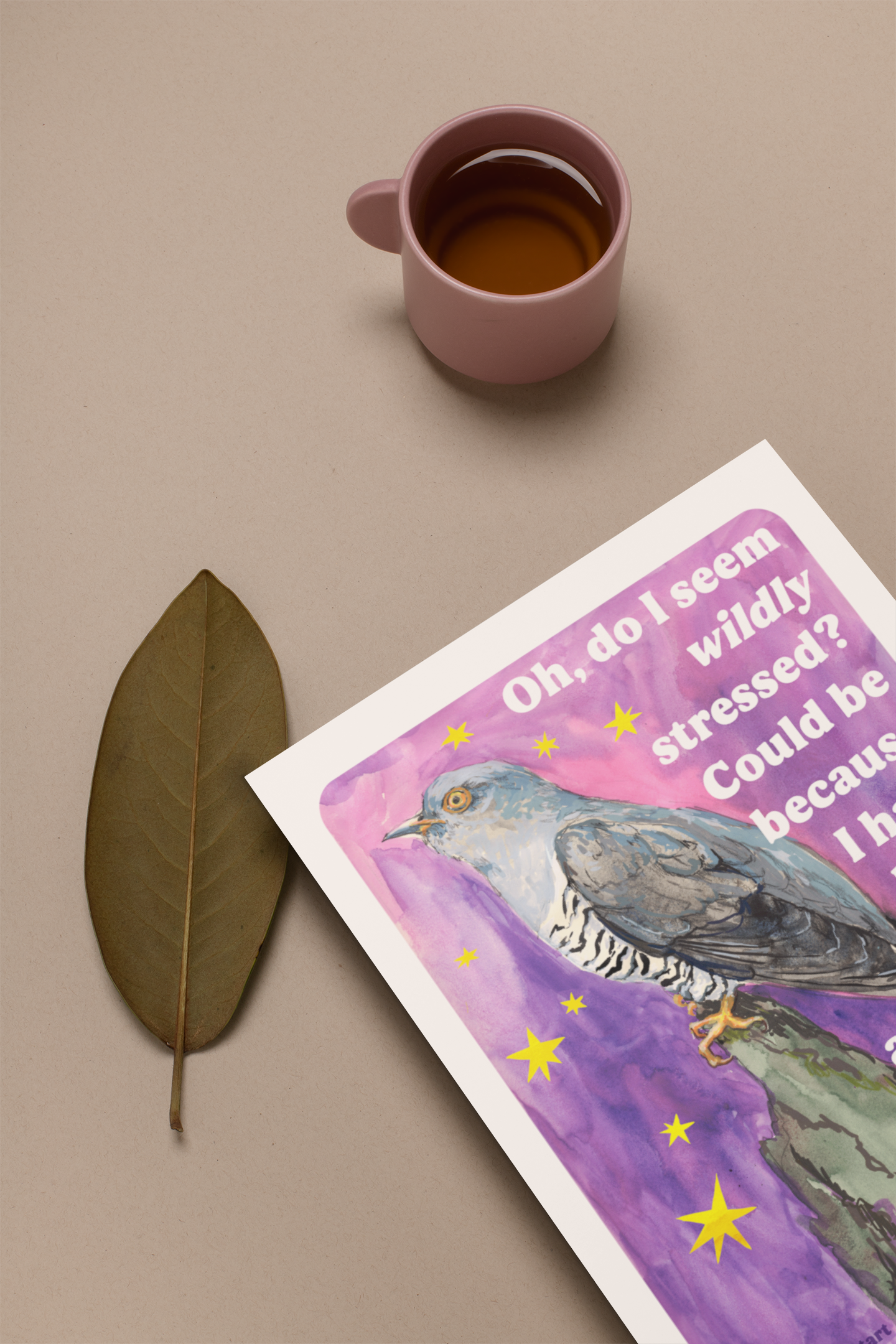 Oh, do I seem wildly stressed? Could be because I have been paying attention: feminist print