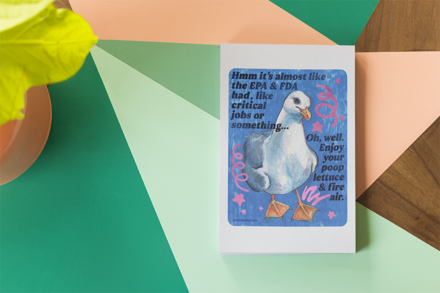 Hmm it's almost like the EPA & FDA had, like, critical jobs or something: feminist art print