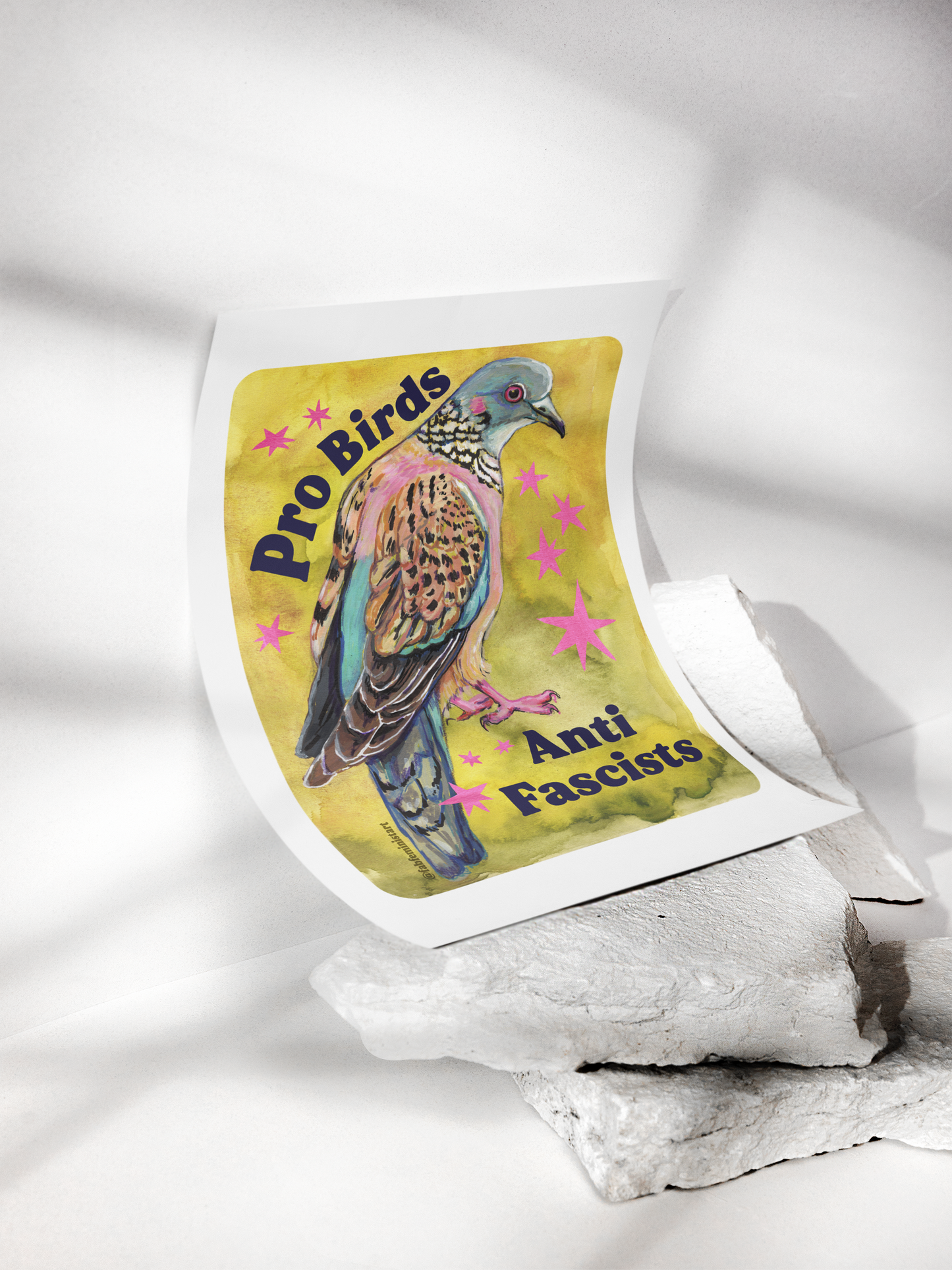 Pro Birds Anti Fascists: feminist art print