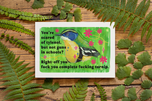 You're scared of tylenol, but not guns in schools? Right-off you fuck you complete fucking turnip: feminist art print