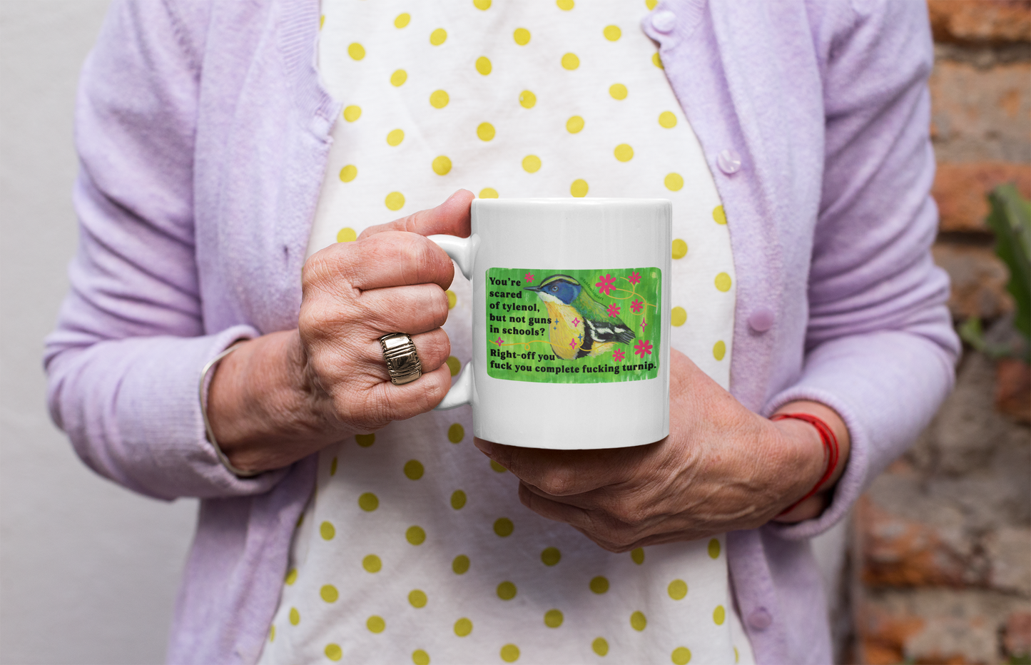 You're scared of tylenol, but not guns in schools? Right-off you fuck you complete fucking turnip: feminist mug