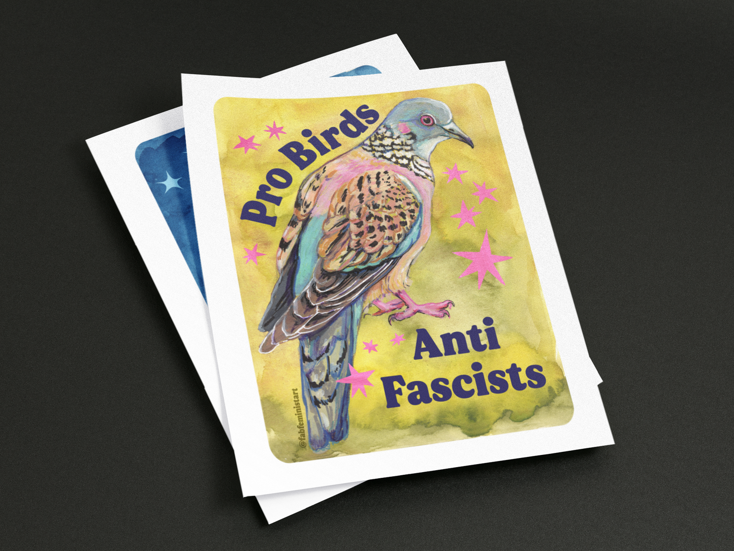 Pro Birds Anti Fascists: feminist art print