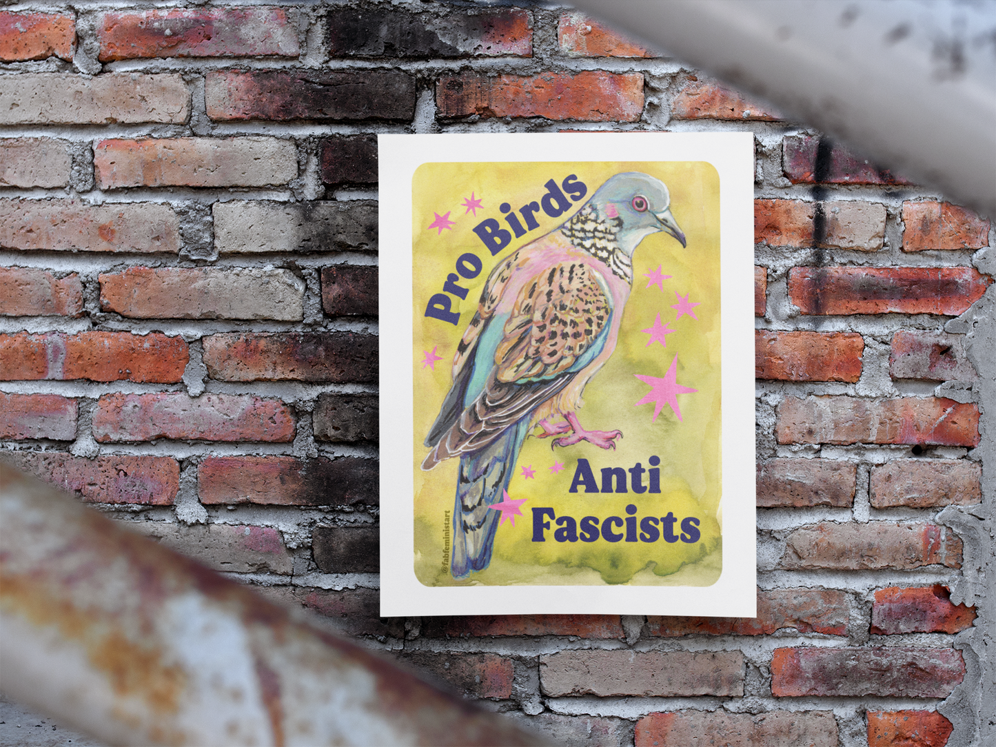 Pro Birds Anti Fascists: feminist art print
