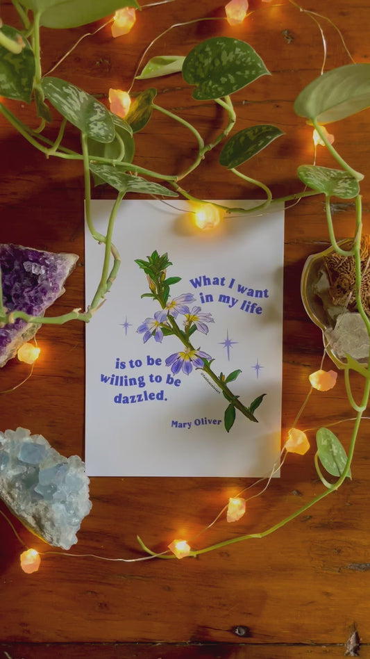 What I want in my life is to be willing to be dazzled, Mary Oliver: Feminist Print