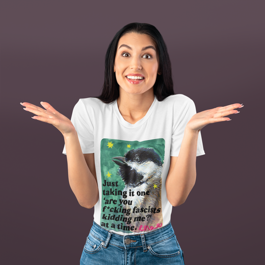 Just taking it one 'are you f*cking fascists kidding me?' at a time: Feminist Shirt