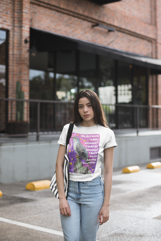 Oh, do I seem wildly stressed? Could be because I have been paying attention: feminist shirt