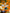 Oops Sticker Pack