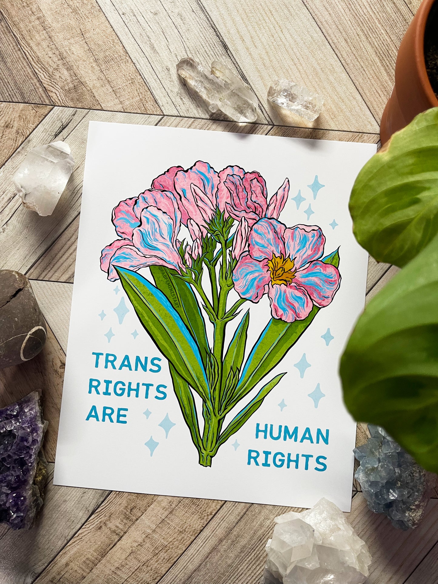 Trans Rights Are Human Rights: LGBTQ Art Print