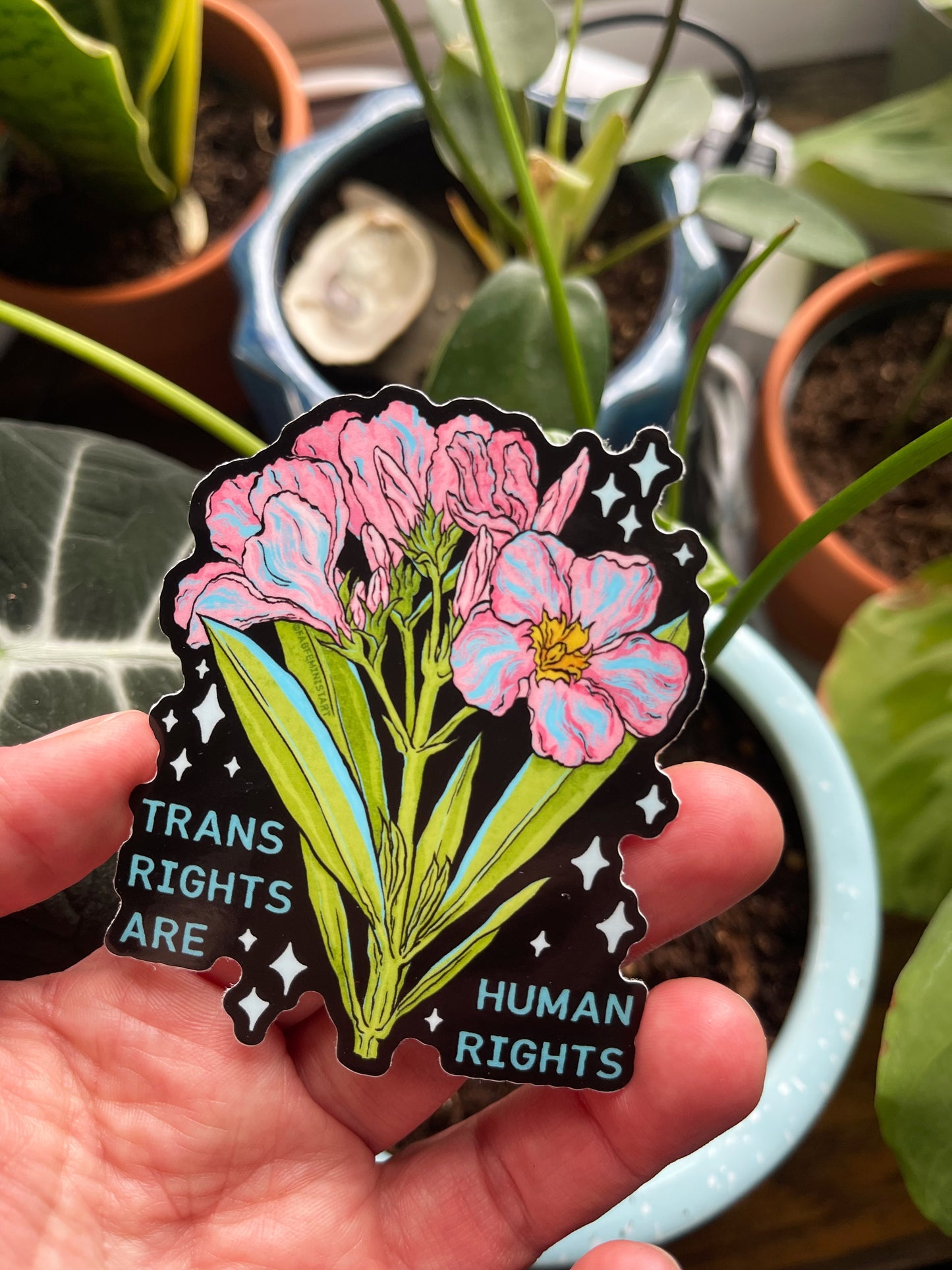 Trans Are Human Rights: LGBTQ Sticker