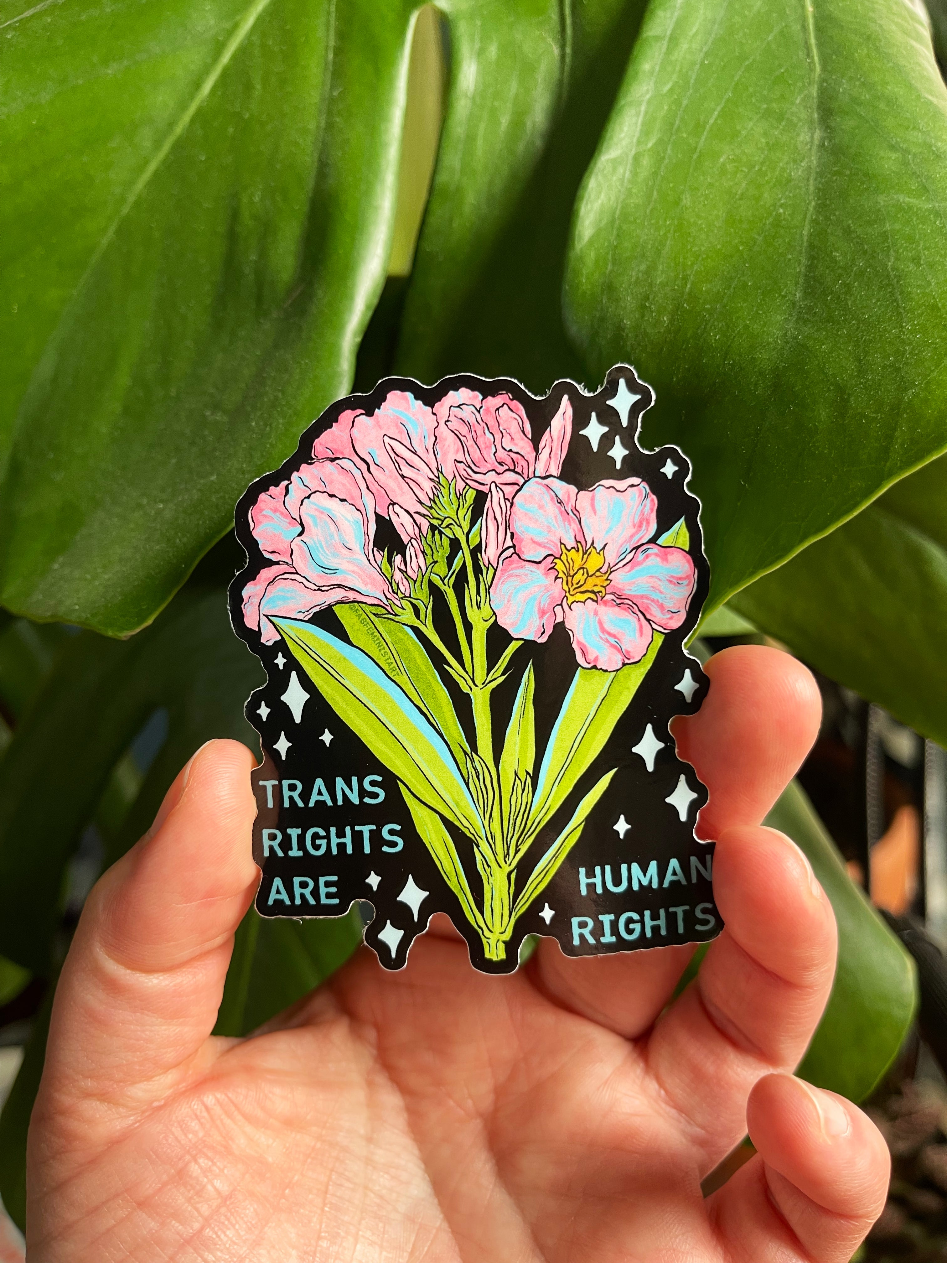 Trans Rights Sticker Trans Are Human Rights: LGBTQ Sticker – Fabulously Feminist