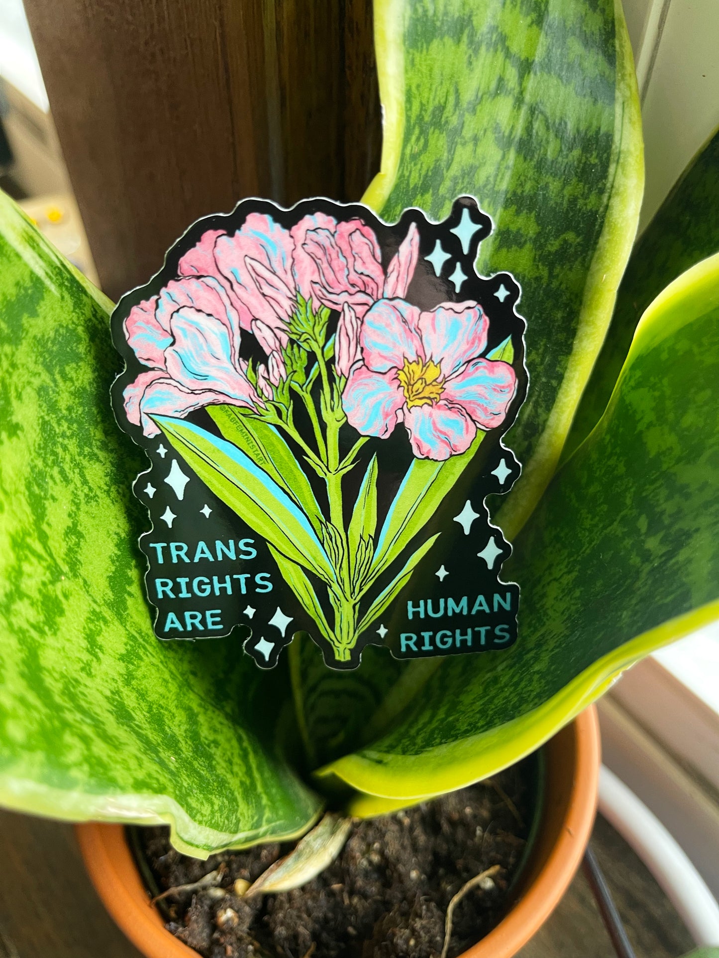 Trans Are Human Rights: LGBTQ Sticker