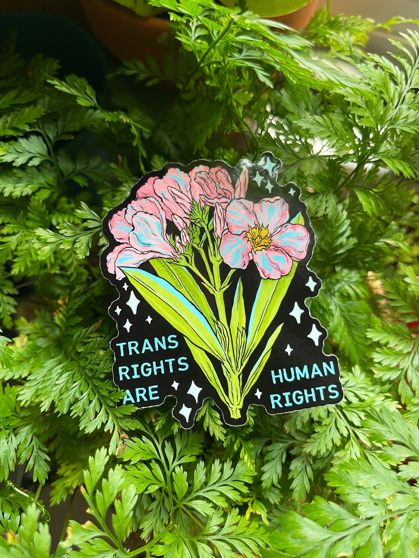 Trans Are Human Rights: LGBTQ Sticker