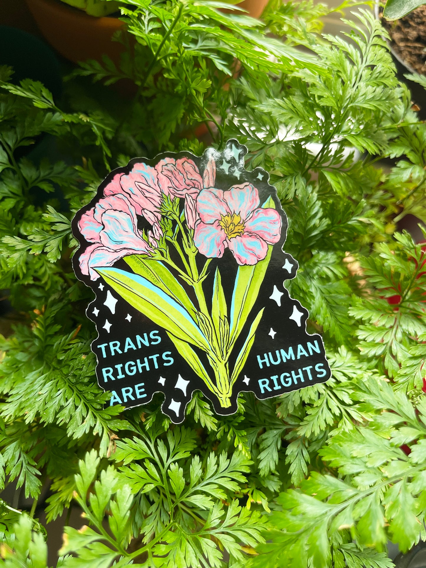 Trans Are Human Rights: LGBTQ Sticker