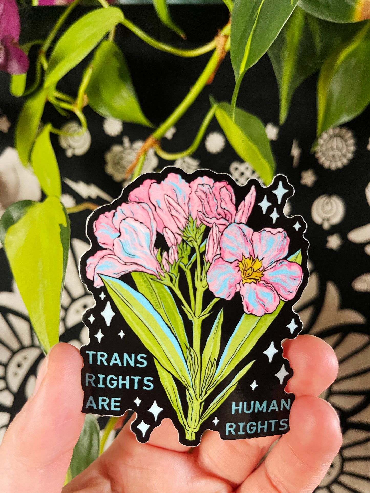 Trans Are Human Rights: LGBTQ Sticker