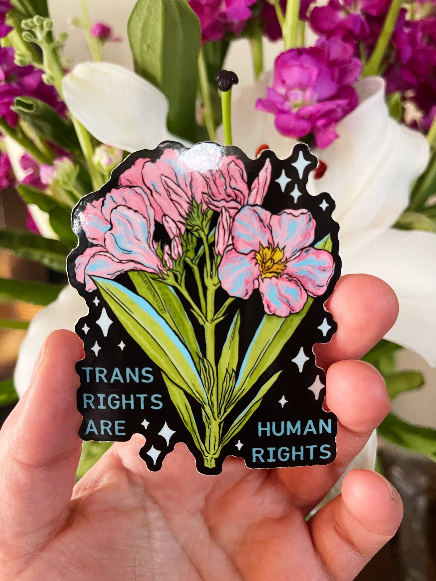 Trans Are Human Rights: LGBTQ Sticker