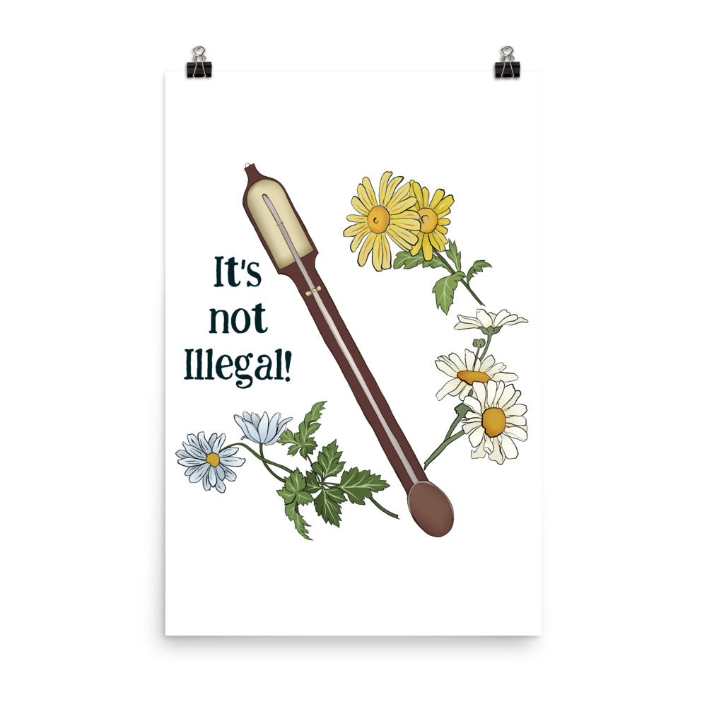 It's Not Illegal: Anne Lister Print