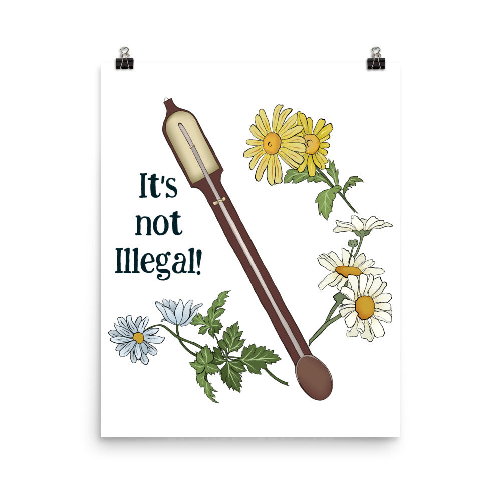 It's Not Illegal: Anne Lister Print