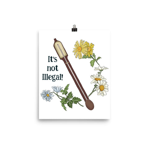 It's Not Illegal: Anne Lister Print