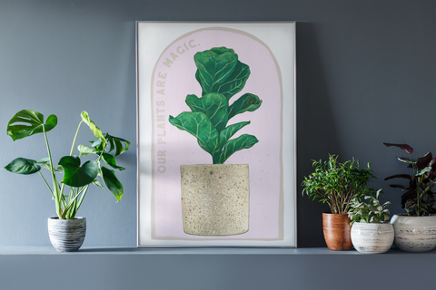 Our Plants Are Magic: Houseplant Print